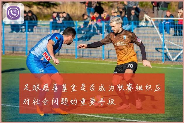 足球慈善基金是否成为联赛组织应对社会问题的重要手段