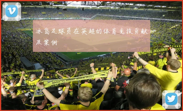 冰岛足球员在英超的体育竞技贡献及案例