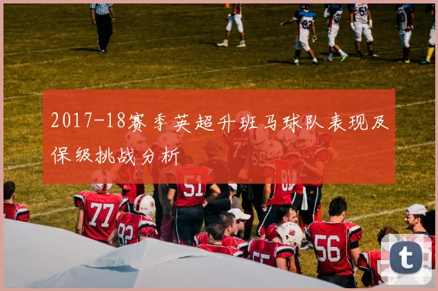 2017-18赛季英超升班马球队表现及保级挑战分析